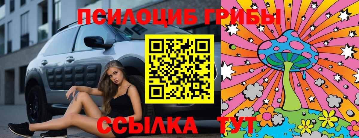 Псилоцибиновые грибы прущие грибы Краснознаменск