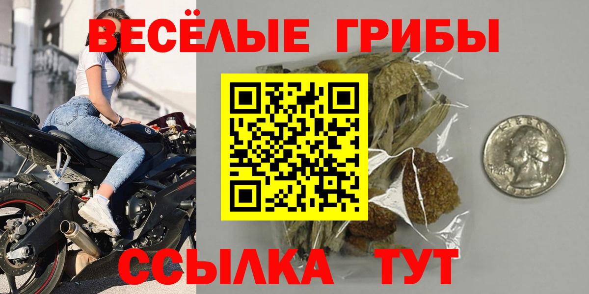 Галлюциногенные грибы MAGIC MUSHROOMS  Вход с VPN  Краснознаменск 